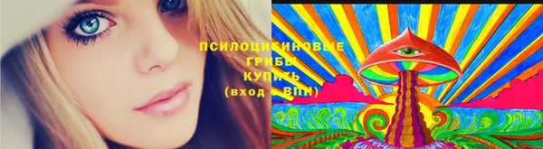 индика Заводоуковск