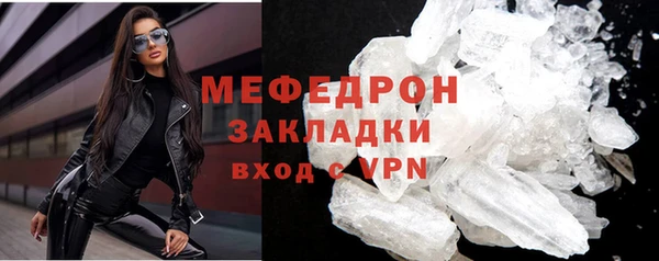 индика Заводоуковск
