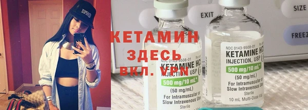 ПСИЛОЦИБИНОВЫЕ ГРИБЫ Заволжье