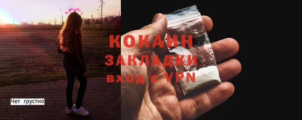 индика Заводоуковск