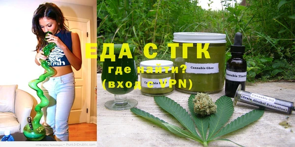 индика Заводоуковск