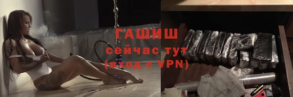 индика Заводоуковск