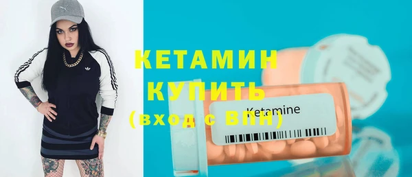 индика Заводоуковск