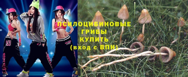 индика Заводоуковск