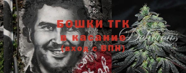 ПСИЛОЦИБИНОВЫЕ ГРИБЫ Заволжье