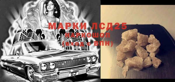прущие грибы Елабуга