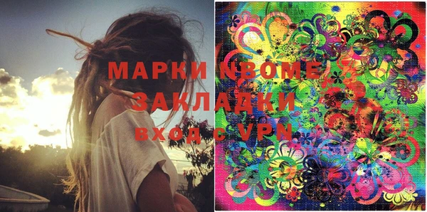 индика Заводоуковск