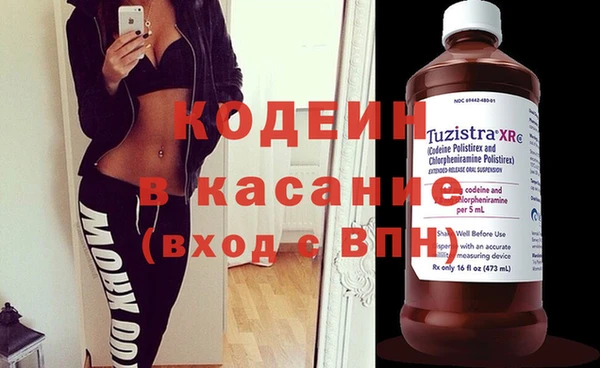индика Заводоуковск