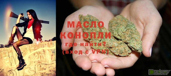 индика Заводоуковск