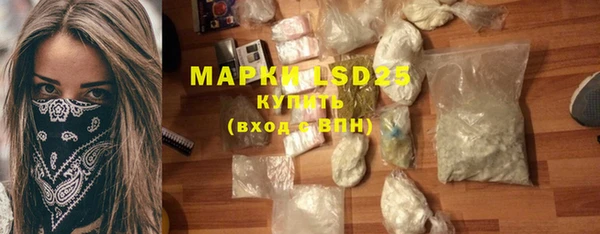 ПСИЛОЦИБИНОВЫЕ ГРИБЫ Заволжье