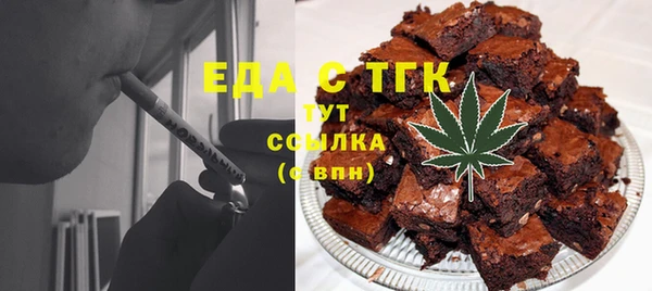 индика Заводоуковск