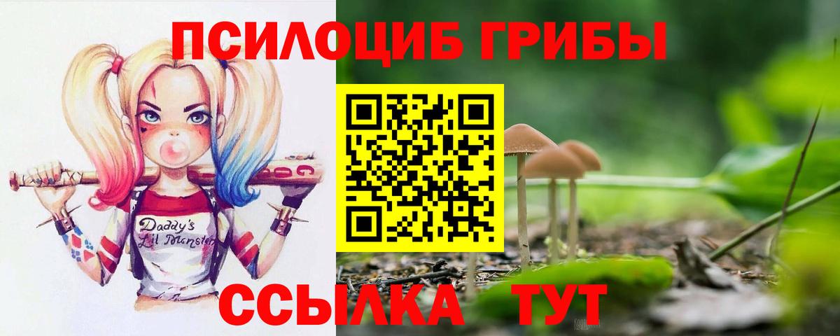 Избербаш  Галлюциногенные грибы Psilocybe  Псилоцибиновые грибы ЛСД  Вход с VPN 